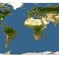 Discover Life: Point Map of Ptomaphagus loedingi